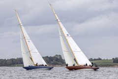 LI_9567