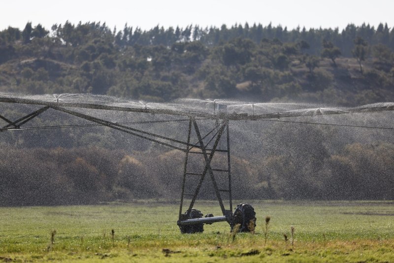 Agricultural  watering 2
