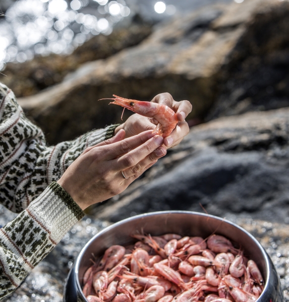 Hitra and Kirkenes, Brown Crab, Shrimps, Scallops, KingCrab, Makrele, Miesmuscheln