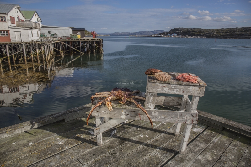 Hitra and Kirkenes, Brown Crab, Shrimps, Scallops, KingCrab, Makrele, Miesmuscheln